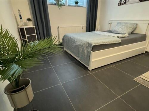 Ferieleilighet - 2 personer -  - Stolpstraße - 53359 - Rheinbach