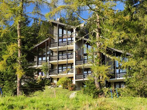 Ferielejlighed - 2 personer -  - Alpe Des Chaux - 1882