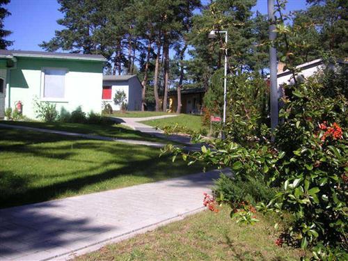 Holiday Home/Apartment - 4 persons -  - WOHN & FERIENPARK Kiefernweg - 17454 - Zinnowitz