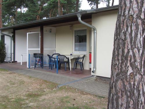Feriesenter - 4 personer -  - WOHN & FERIENPARK Kiefernweg - 17454 - Zinnowitz