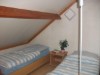 Bilde 6