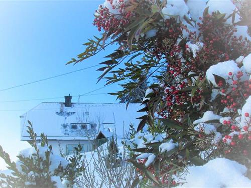 Ferielejlighed - 10 personer -  - Kupferbergstr. - 77776 - Bad Rippoldsau-Schapbach