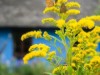 Bild 19