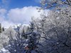 Bild 34 - Ude