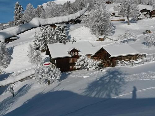 Feriehus / leilighet - 3 personer -  - Kreuzweg - 3818 - Grindelwald