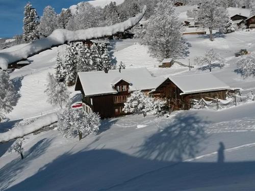 Semesterlägenhet - 2 personer -  - Kreuzweg - 3818 - Grindelwald