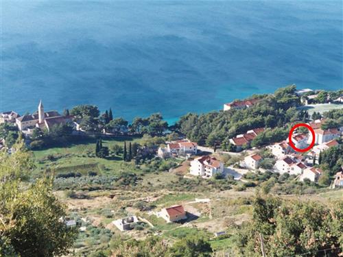 Holiday apartment - 3 persons -  - Tina Ujevica - 21420 - Bol