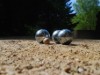 Bilde 5
