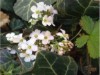 Bild 28