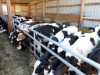 Bild 42