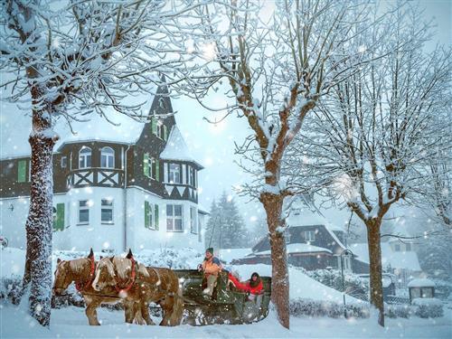 Holiday apartment - 4 persons -  - Ahornallee - 01773 - Oberbärenburg