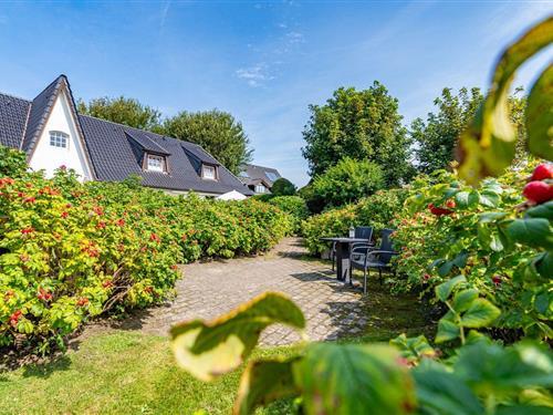 Holiday apartment - 2 persons -  - Am Grenzkrug - 25980 - Tinnum