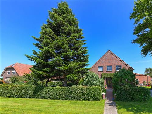Bondegård - 6 personer -  - Königsweg - 26427 - Moorweg Neugaude