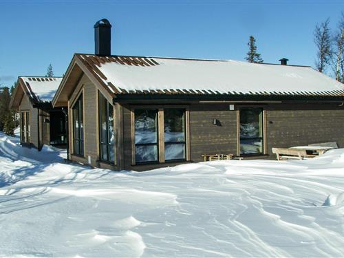 Holiday home - 13 persons -  - Fjellmyrvegen - 3539 - Flå