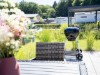 Bild 22