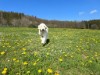 Bild 22