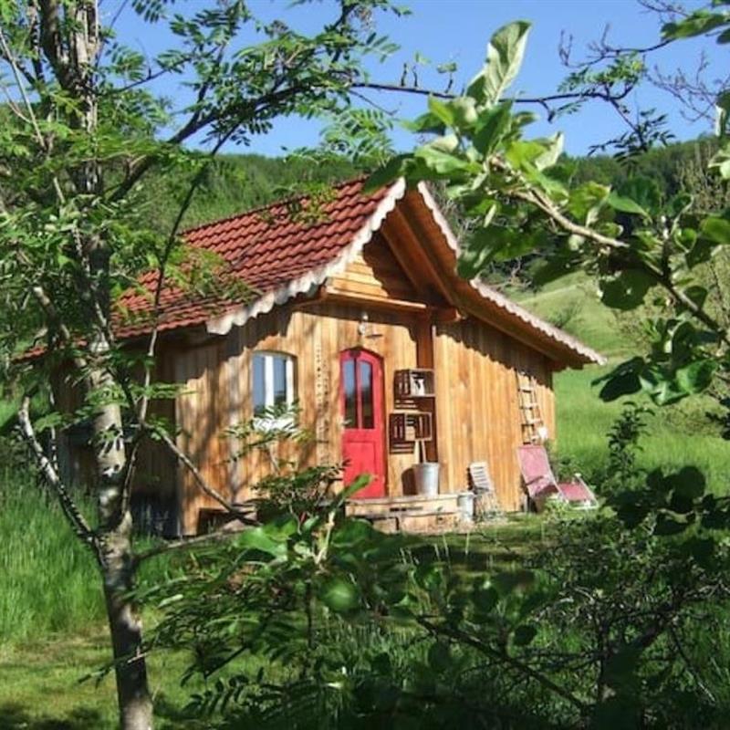 Sommerhus - 3 personer -  - Untertal - 77790 - Welschensteinach