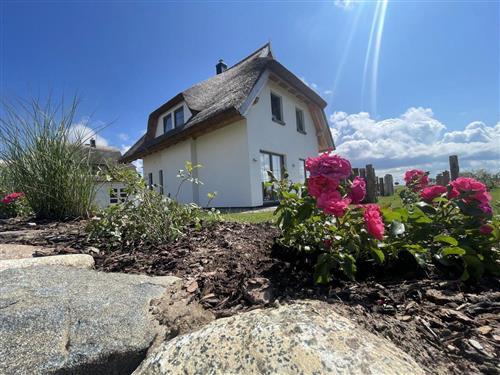 Sommerhus - 6 personer -  - Zum Donnerkeil - 18556 - Dranske