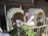 Bild 15