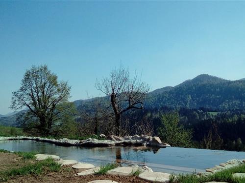 Feriehus - 4 personer -  - 51326 - Vrbovsko