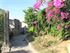 Image 25 - Outside