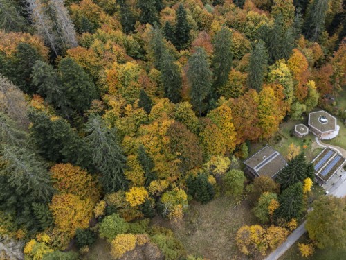 Sommerhus - 4 personer -  - Zwieslerwaldhaus - 94227 - Lindberg