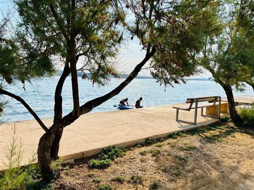 Holiday apartment - 5 persons -  - Pašman/Nevidane - 23264