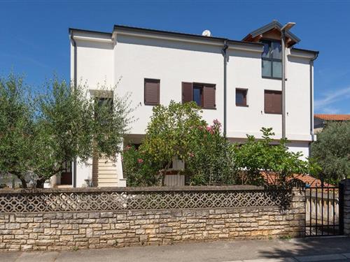 Holiday apartment - 3 persons -  - Ul. Anke Butorac - Porec-Porec - 52440 - Porec