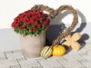Bilde 8