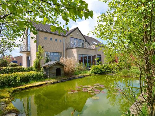 Villa - 20 personer -  - 4950 - Sourbrodt