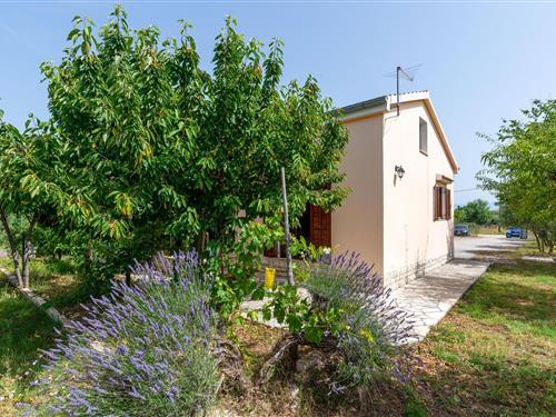 Holiday home - 4 persons -  - Put Donjih Viduka - Zadar - Pridraga - 23226 - Pridraga