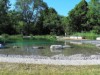 Bild 17
