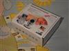 Bild 16