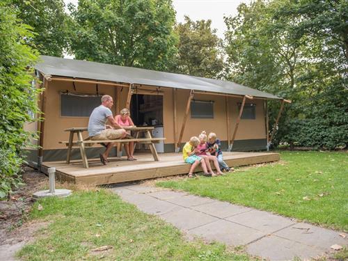 Glamping telt - 6 personer -  - 5731AA - Mierlo