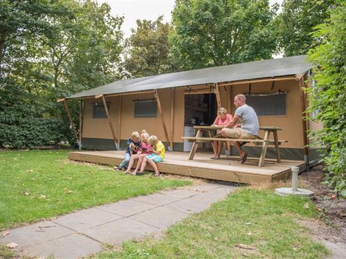 Tent lodge - 6 persons -  - 5731AA - Mierlo