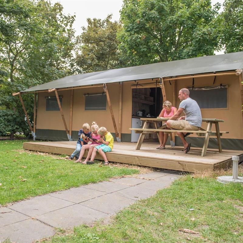 Glamping telt - 6 personer -  - 5731AA - Mierlo