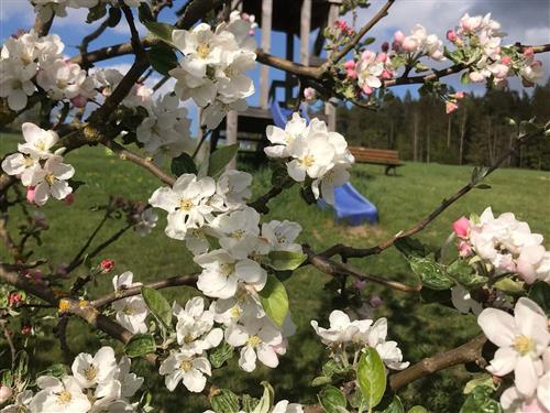 Ferienhaus - 4 Personen -  - Schönlind - 95632 - Wunsiedel