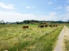 Bild 11 - Ude