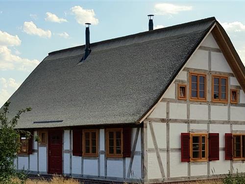Ferielejlighed - 4 personer -  - Sandweg, - 17375 - Altwarp