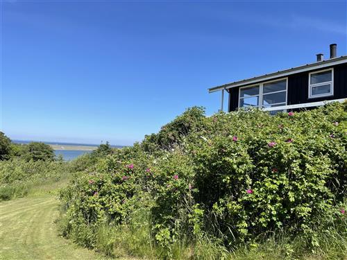 Feriehus - 6 personer -  - Bellisvej - Gjellerodde - 7620 - Lemvig