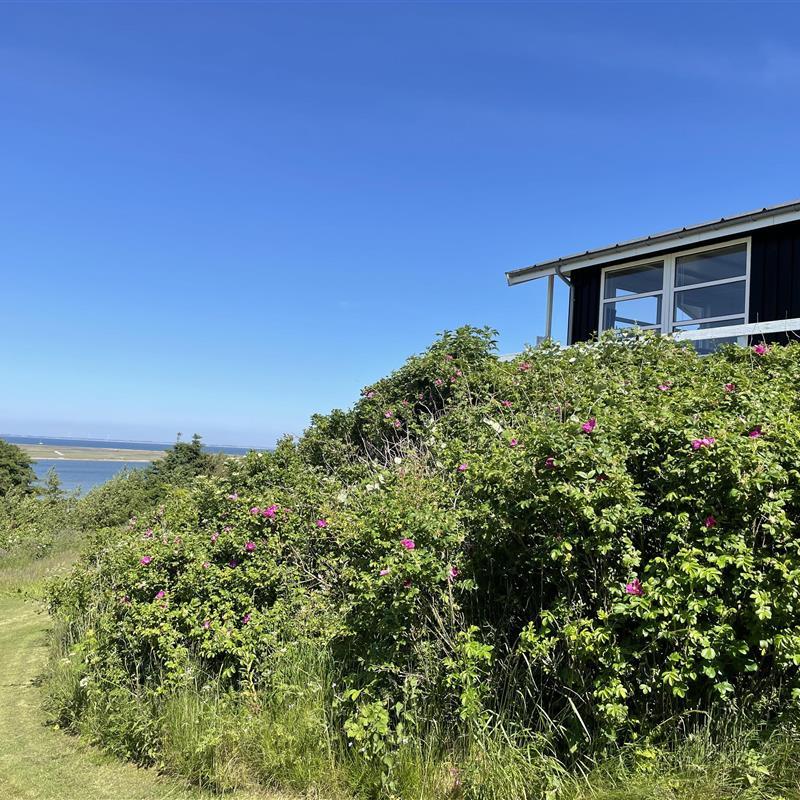 Ferienhaus - 6 Personen -  - Bellisvej - Gjellerodde - 7620 - Lemvig