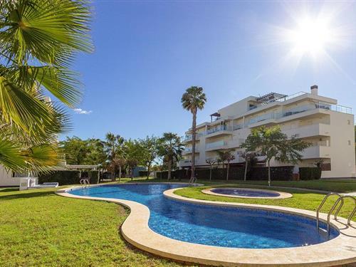 Ferieleilighet - 2 personer -  - Cami Vell de Gandia - 03770 - El Vergel