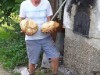 Bild 21
