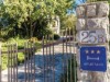Bilde 24