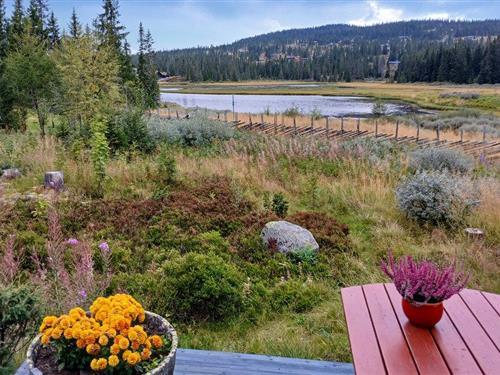 Holiday home - 8 persons -  - Nevelfaret - Sjusjøen/Nordseter - 2618 - Lillehammer