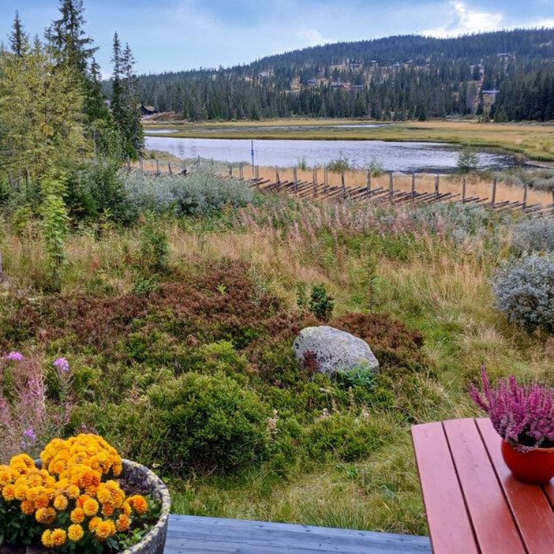 Sommerhus - 8 personer -  - Nevelfaret - Sjusjøen/Nordseter - 2618 - Lillehammer