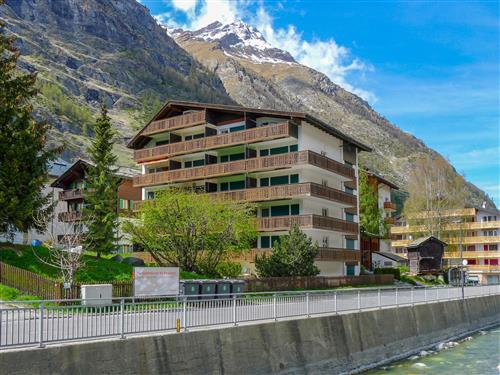 Ferieleilighet - 5 personer -  - Zermatt - 3920