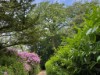 Image 4 - Outside