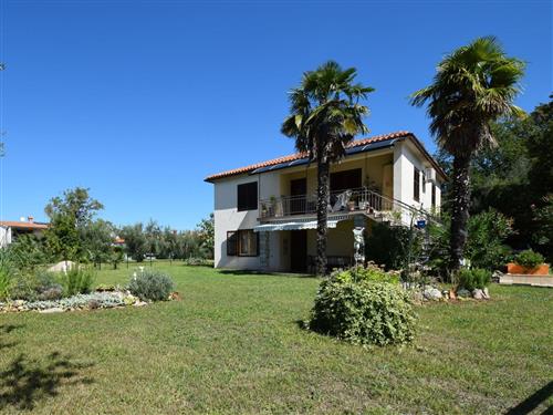 Ferieleilighet - 6 personer -  - Put Postana - 51512 - Njivice