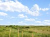 Bild 36
